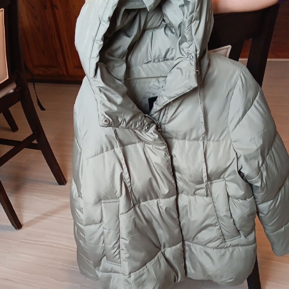 Steve Madden Women's Puffer Jacket - Sage